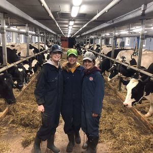 Meet your Posher, Olivia